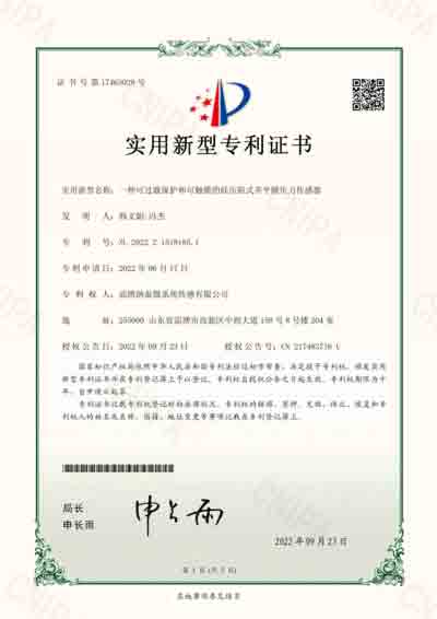 實(shí)用新型專(zhuān)利4