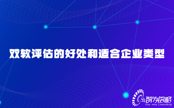 雙軟評估的好處和適合企業(yè)類(lèi)型.jpg