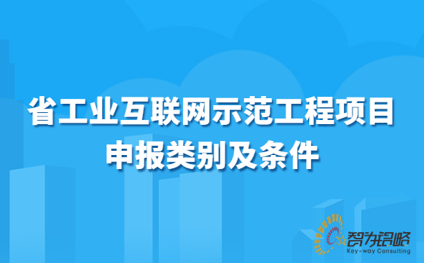 省工業(yè)互聯(lián)網(wǎng)示范工程項目咨詢(xún)類(lèi)別及條件.jpg