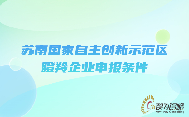 蘇南國家自主創(chuàng  )新示范區瞪羚企業(yè)申報條件.jpg