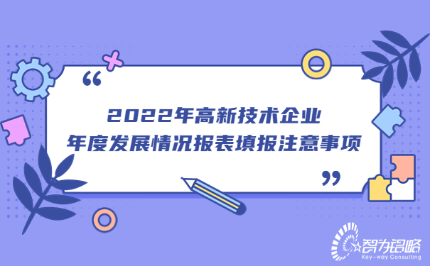 2022年高新技術(shù)企業(yè)年度發(fā)展情況報表填報注意事項