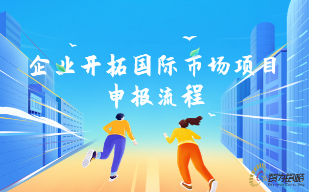 企業(yè)開(kāi)拓國際市場(chǎng)項目咨詢(xún)流程.jpg